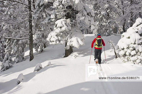 Young man doing telemark skiing in Herzogstand mountain forest