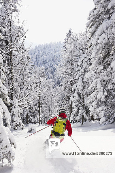 Young man doing telemark skiing in Herzogstand mountain forest