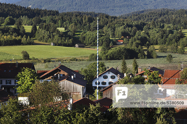 Deutschland Bayern Oberbayern Region Pfaffenwinkel Bad Bayersoien Blick auf Waldgebiet mit Häusern und Bergen