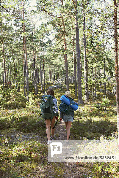 Women hiking in forest together