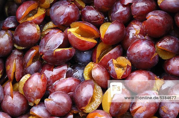 Pitted Prunes (Prunus domestica)  prepared to make jam