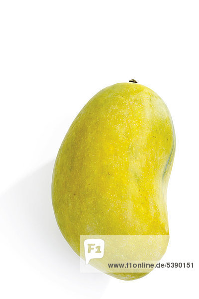 Mango  Pakistan (Mangifera indica)