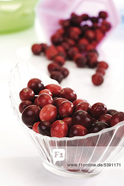 Cranberries - Mossbeeren (Vaccinium macrocarpon) in Glasschale