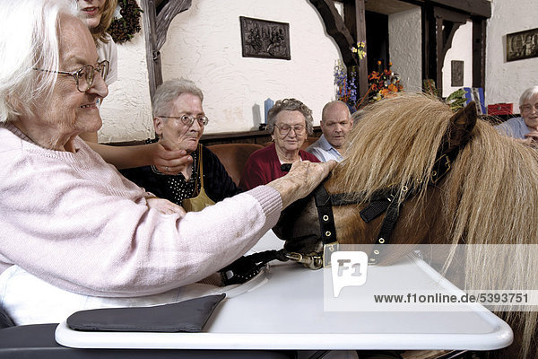 Im Altenheim  Pflegeheim  Seniorin streichelt ein Pony