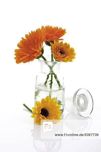 Marigolds (Calendula) in an apothecary bottle
