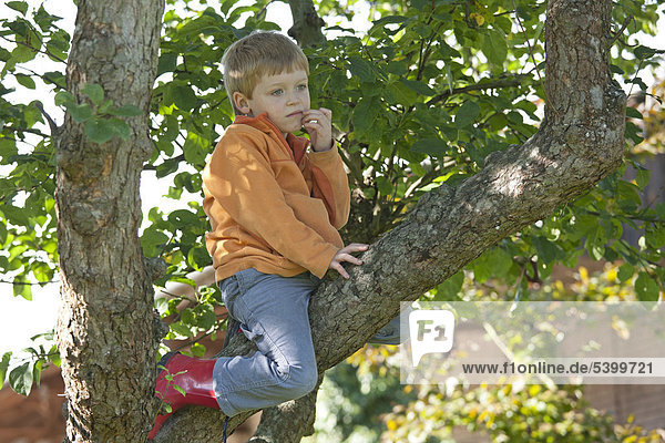 Little boy climbing on tree