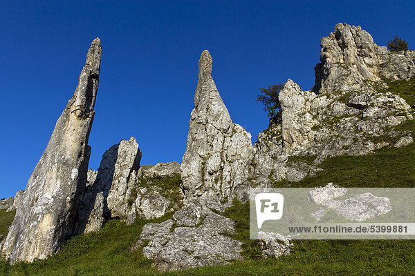 Rock formation Steinerne Jungfrauen Stone Virgins Eselsburger Valley near Herbrechtingen Swabian Alb Baden-Wuerttemberg southern Germany Germany Europe