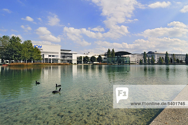 Neue Messe Eingang West See mit Blässhuhn (Fulica atra) München Bayern Deutschland Europa