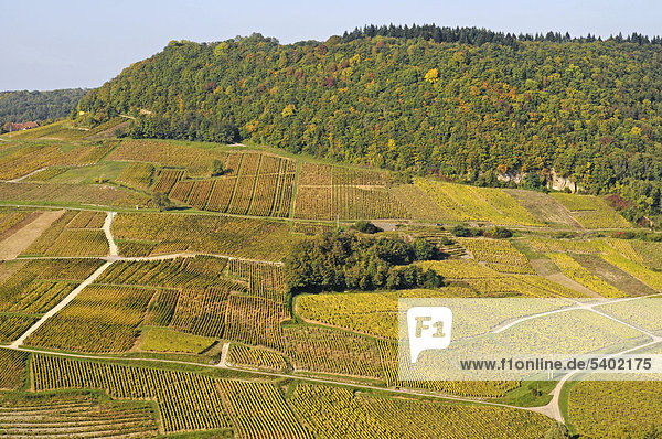 Weinberge  Weinanbaugebiet  Chateau-Chalon  Departement Jura  Franche-Comte  Frankreich  Europa  ÖffentlicherGrund