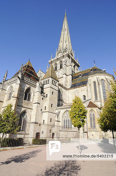 Kathedrale Saint-Lazare  Autun  Departement Saone-et-Loire  Bourgogne  Burgund  Frankreich  Europa  ÖffentlicherGrund