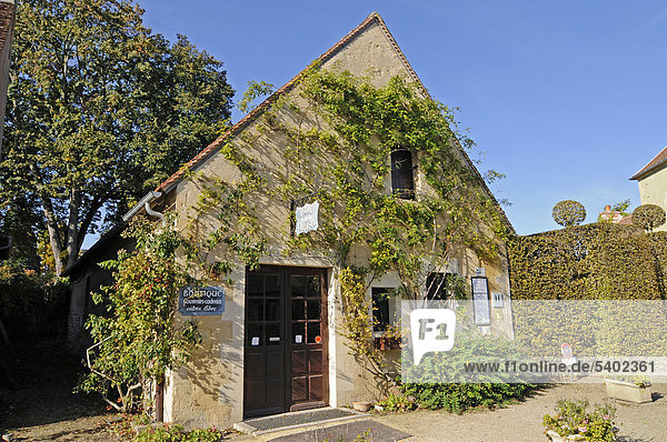 Haus im Parc Floral  Park  Apremont-sur-Allier  Dorf  Gemeinde  Bourges  Departement Cher  Centre  Frankreich  Europa  ÖffentlicherGrund