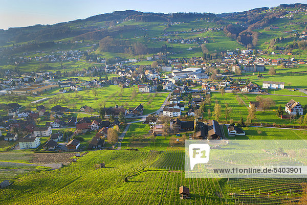 Thal  Switzerland  Europe  canton St. Gallen  Rhine Valley  vineyard  village  houses  homes  panorama