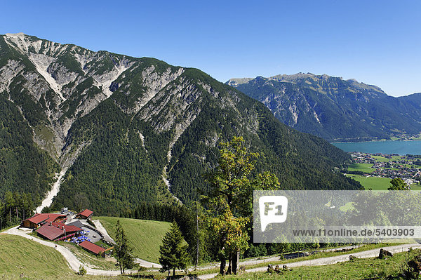 Feilalm am Feilkopf  bei Pertisau am Achensee  Karwendel  Tirol  Österreich  Europa