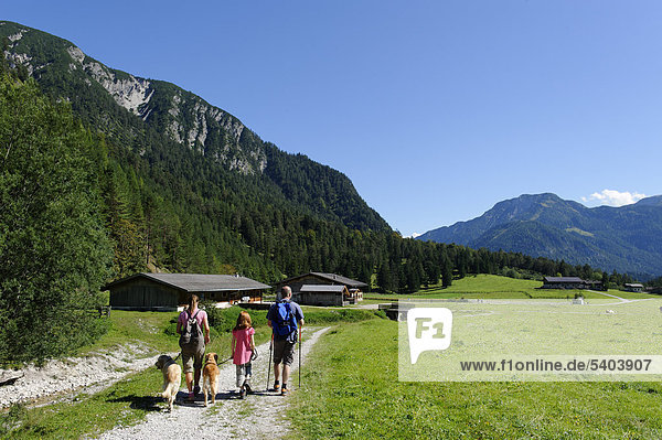 Wanderer mit Hunden an den Pletzachalm im Karwendeltal  bei Pertisau am Achensee  Karwendel  Tirol  Österreich  Europa