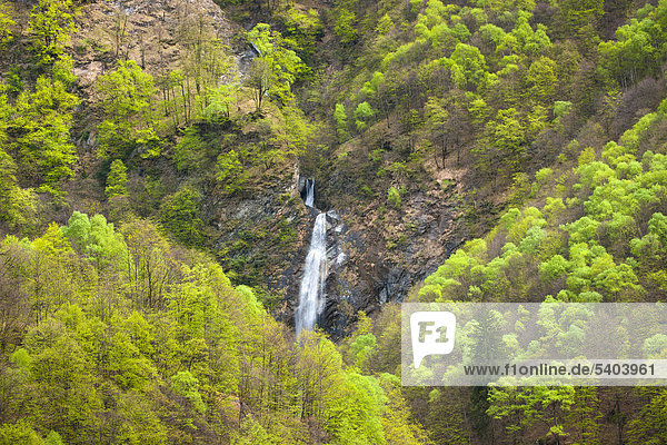 Felsbrocken Europa Steilküste Wald Bach Holz Wasserfall Schweiz
