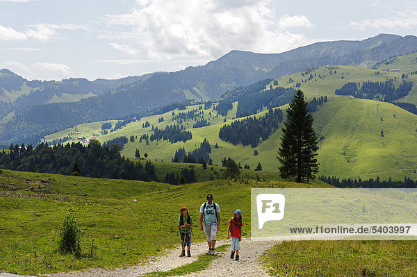 Vater und Kinder beim Bergsteigen auf dem Weg zum Wildalpjoch  im Sudelfeldgebiet  Oberbayern  Bayern  Deutschland  Europa