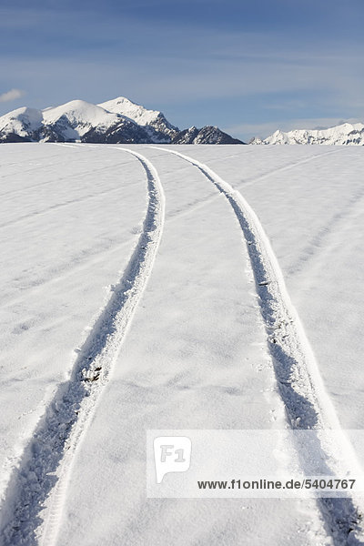 Autospuren in einer verschneiten Winterlandschaft  Trofaiach  Obersteiermark  Steiermark  Österreich  Europa