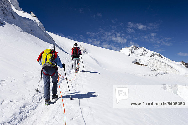 Hikers climbing Mt Piz Palu  Mt Piz Bernina with the Bianco ridge in the back  Grisons  Switzerland  Europe