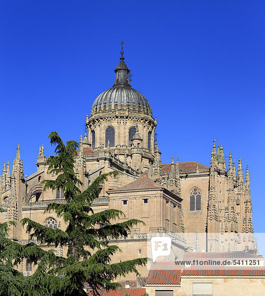 Europa  Europäische  Reisen  Reiseziele  Iberische Halbinsel  Mittelmeer-Land  Südeuropa  Spanien  Spanisch  Städte  Stadt  Salamanca  Kastilien und Leon  neue Kathedrale  Catedral Nueva  Kirche  Architektur  Gebäude