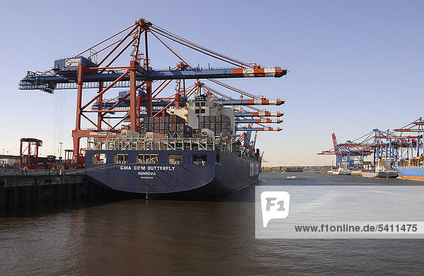 Containerverladung im Hamburger Hafen  Hamburg  Deutschland  Europa