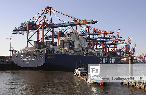 Containerverladung im Hamburger Hafen  Hamburg  Deutschland  Europa