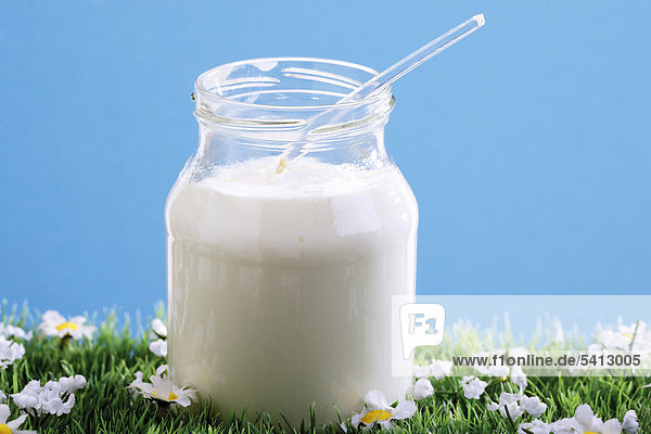 Glass of yoghurt on a flower meadow