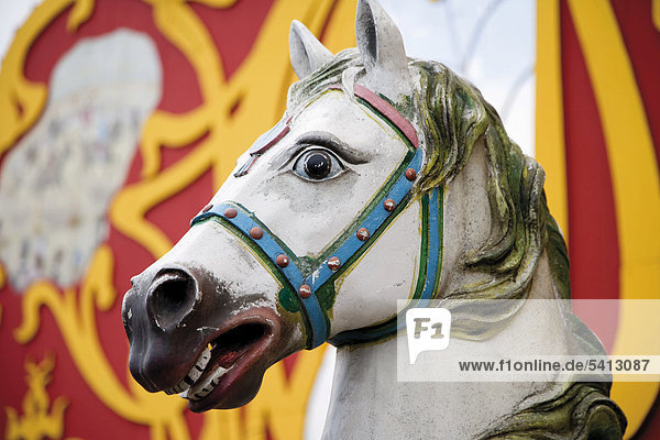 Head of a wooden horse at Oktoberfest  Munich October Beer Festival