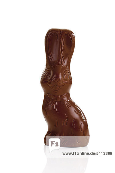 Chocolate easter bunny