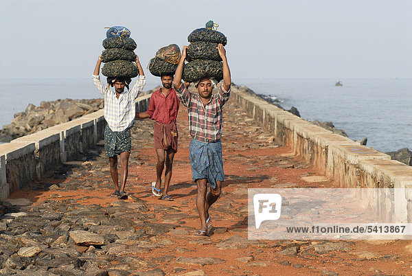 Fischer tragen Netze mit Muscheln auf dem Kopf  bei Beypore  Kerala  Malabar-Küste  Südindien  Indien  Asien