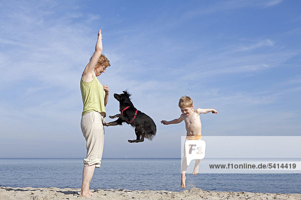 Mutter lässt Hund und Sohn springen  am Strand  Kühlungsborn  Mecklenburg-Vorpommern  Deutschland  Europa
