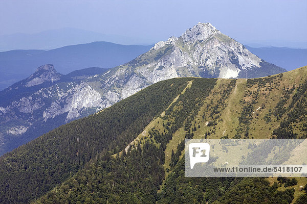 Der Berg Velky Rozsutec Nationalpark Kleine Fatra Slowakei Europa