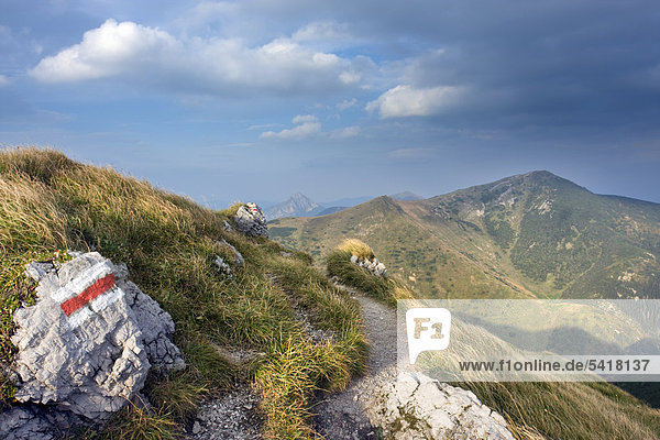 Der Berg Velky Krivan  Nationalpark Kleine Fatra  Slowakei  Europa