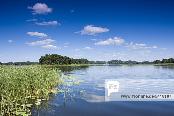 Der See Wigry  Wigry  Wigierski-Nationalpark Polen  Europa