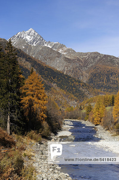 Fluss Inn im Schweizer Nationalpark bei Zernez  Engadin  Graubünden  Schweiz  Europa