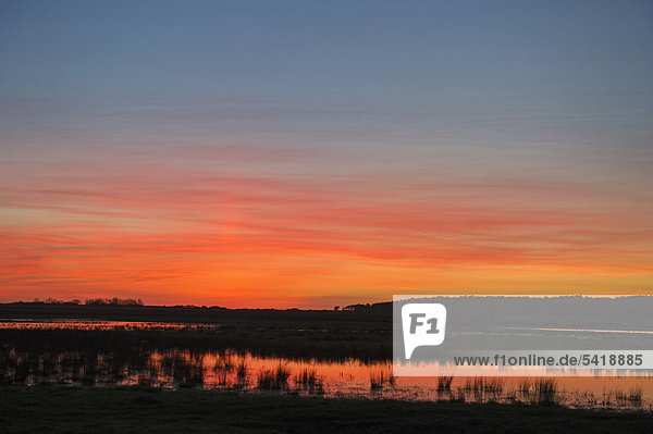 Holkham freshmarsh viewed from Lady Anne's Drive  at dusk in winter  Norfolk  England  United Kingdom  Europe