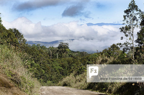 Hochland-Fernstraße durch den Regenwald bei Tari  Papua-Neuguinea  Ozeanien