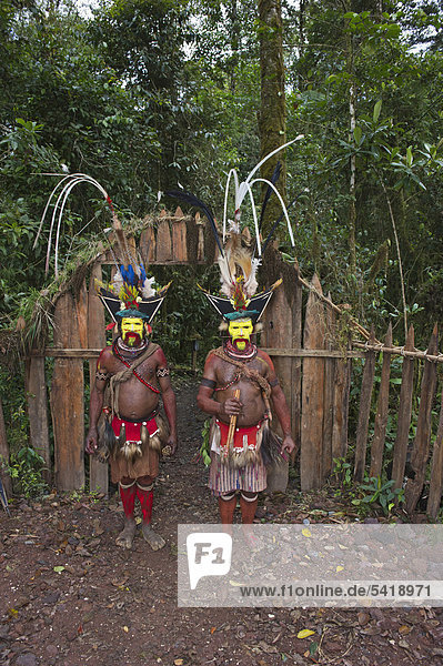 Huli Wigmen at Makara Bird View Lodge  Tari  Papua New Guinea  Oceania