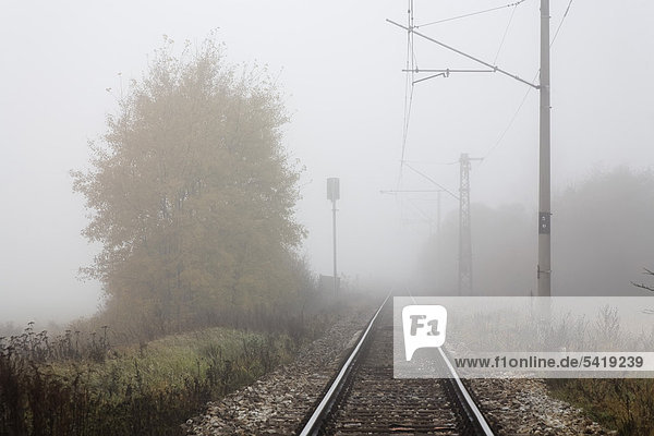 Bahngleis im herbstlichem Nebel zwischen Bosilec und Horusice in Mittelböhmen  Böhmen  Tschechien  Europa
