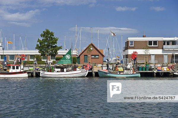 Fischereihafen Fischerhafen Europa Ostsee Baltisches Meer Deutschland Heiligenhafen Schleswig-Holstein