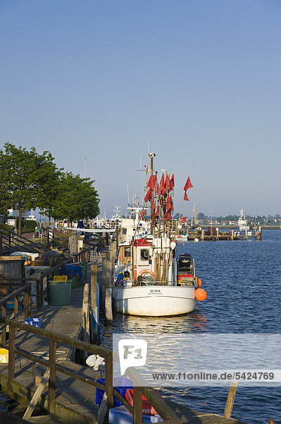 Fischereihafen Fischerhafen Europa Ostsee Baltisches Meer Deutschland Heiligenhafen Schleswig-Holstein