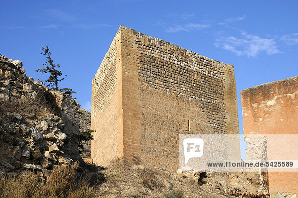 Mauer Mit Relief Ruinen Von Babylon Irak