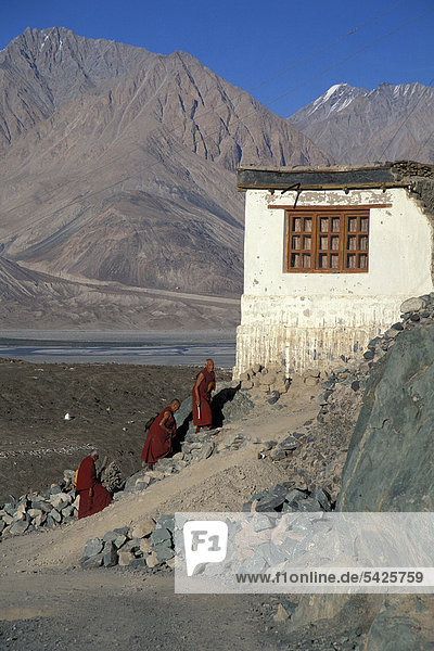 Mönche Kloster Deskit oder Diskit Gompa Hunder Nubra-Tal Ladakh indischer Himalaya Jammu und Kaschmir Nordindien Indien Asien