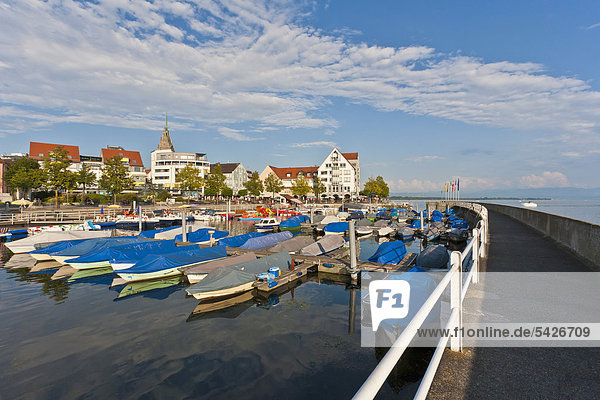 Fishing boats in the harbor  Friedrichshafen  Bodensee  Lake Constance  Baden-Wuerttemberg  Germany  Europe