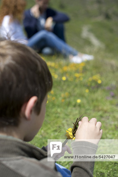 Junge spielt mit Wildblumen  Rückansicht