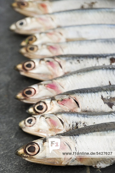 Raw anchovies