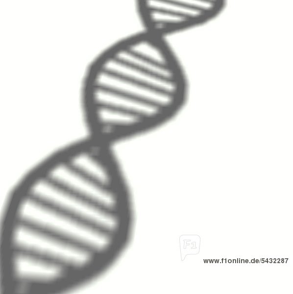 Desoxyribonukleinsäure (DNS) Doppelhelix