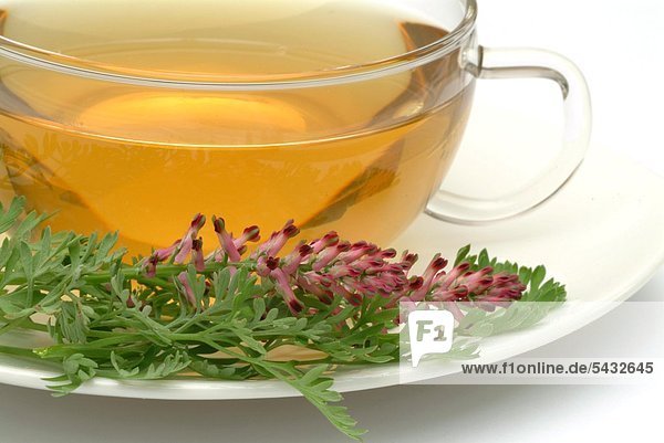 Gesundheitspflege Pflanze lang langes langer lange Wegerich Plantainbanane Tee
