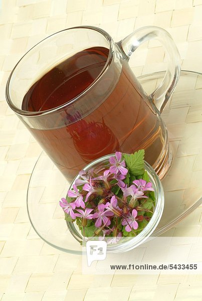 Tee aus Ruprechtkraut in Teeglas mit frischen Blüten - Ruprechtkraut - Storchschnabel - Geranium - enthält Gerbstoffe - wirkt adstringierend und entzündungshemmend - Tee zum Spülen und Gurgeln bei Entzündungen im Rachenraum - Heilpflanze - medizinische Verwendung - Heiltee