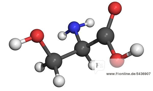 Die Aminosäure Serin ist eine von 20 Aminosäuren die in Proteinen vorkommt