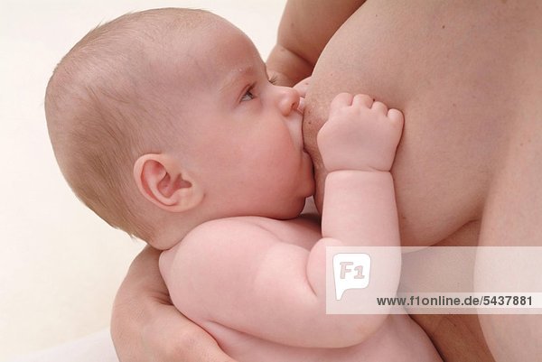 mutter brust 